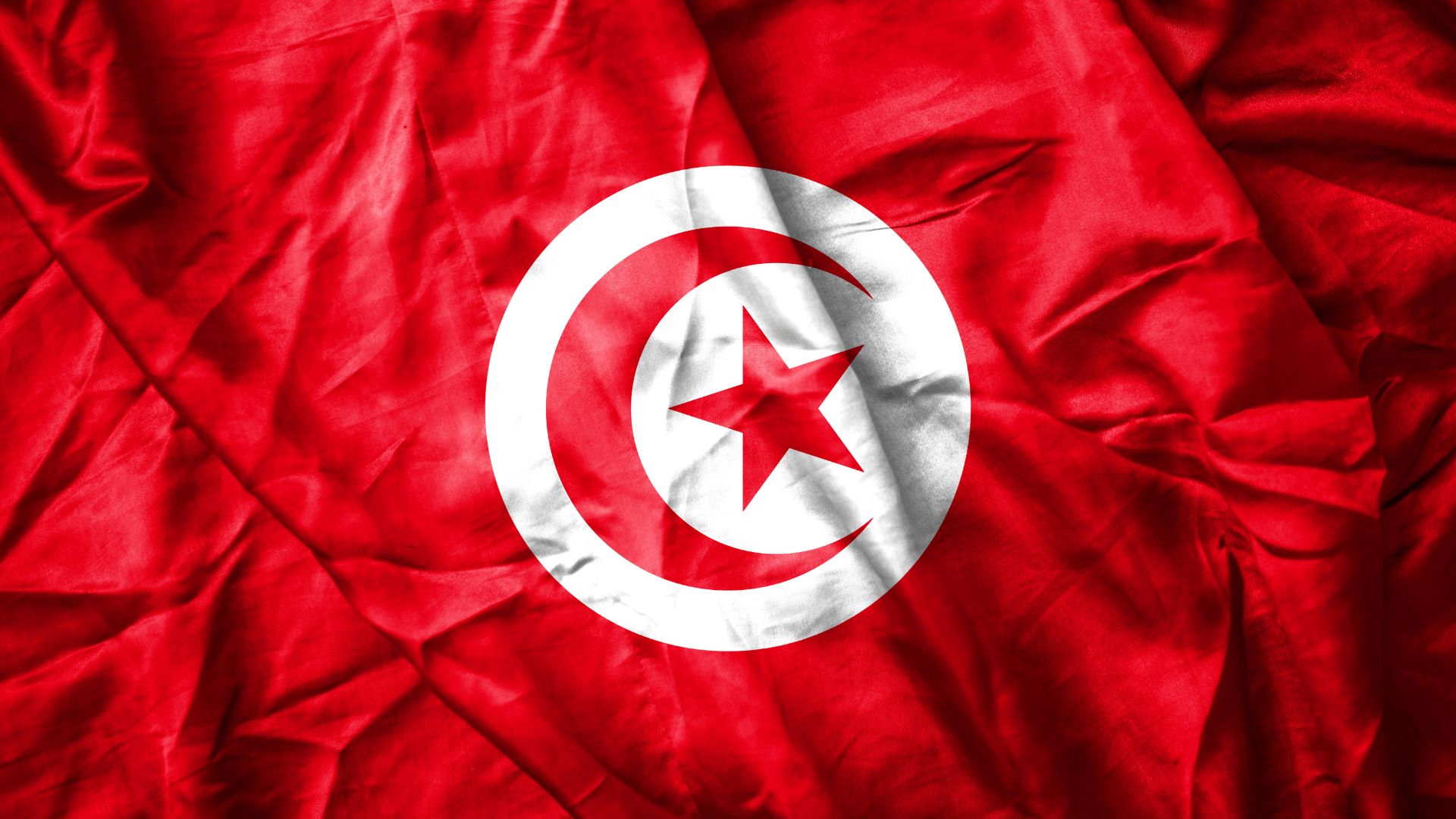 Des institutions en (r)évolution : Armée et police en Tunisie après 2011