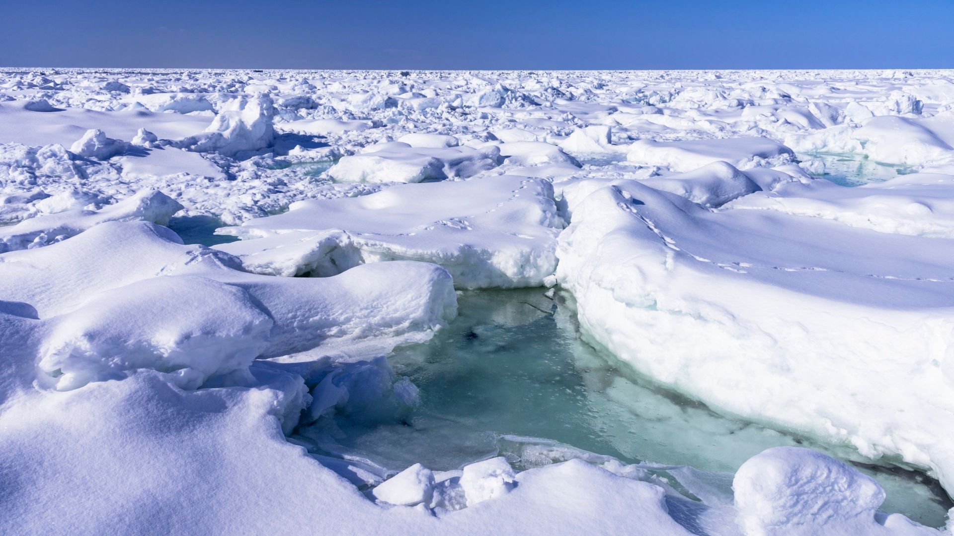 Réalités opérationnelles de l'environnement arctique : approches transdisciplinaires et transsectorielles des impacts du changement climatique dans les sous-régions arctiques